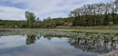 Etang de RY (15).jpeg
