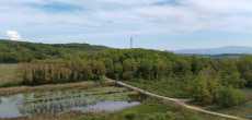Etang de RY (22).jpeg