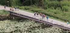 Etang de RY (20).jpeg