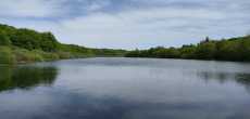 Etang de RY (6).jpeg