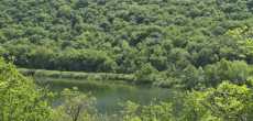 Etang de RY (13).jpeg