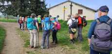 JOUX 69170 (5).jpeg