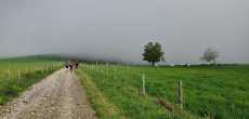 JOUX 69170 (7).jpeg