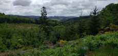BELMONT DE LA LOIRE  (9).jpeg