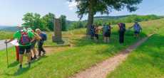 JULIE 12.jpeg