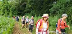 2026-06-10- DAGNEUX - (01120)