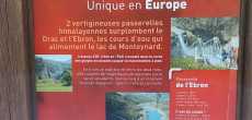 PASSERELLE HIMALAYENNE  (1).jpeg