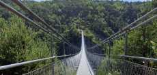 PASSERELLE HIMALAYENNE  (27).jpeg