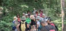 PASSERELLE HIMALAYENNE  (22).jpeg