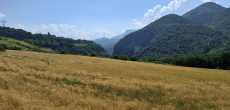 PASSERELLE HIMALAYENNE  (6).jpeg